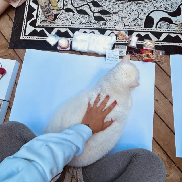 Şamanik mesa yanında beyaz kedi, Shipibo desenli örtü ve tören objeleri